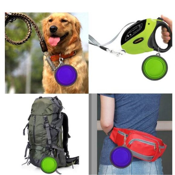 New 2 Collapsible Dog Bowls and 2 Silicone Non Slip Pet Dog Bowl Mats Grey - Picture 10 of 10